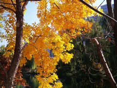 -享口福饺子馆(民旺园店)