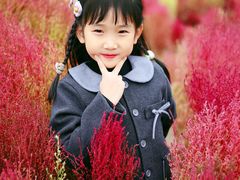 -天津东丽湖风景区