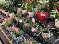 -果蔬好生活超市(乐堤港店)
