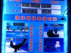 -泉城欧乐堡海洋极地世界