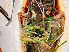 -人杰鱼乐轩(珠江路店)