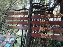 -长鹿旅游休博园