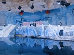 -海合安青岛极地海洋公园