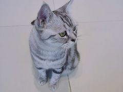 -怪兽屋·羊驼·猫咖·狗咖(俊华广场店)