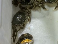 -王四营海鲜市场