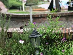 -苏州河梦清园环保主题公园