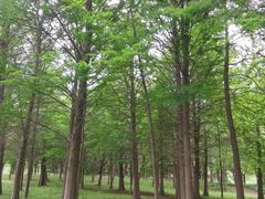 -同里国家湿地公园
