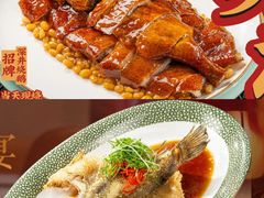 -VT101维多利广场