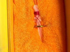 -干老四雅鱼饭店(滨江西路店)