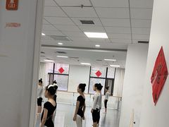 -西安小天鹅艺术团(金花路校区)