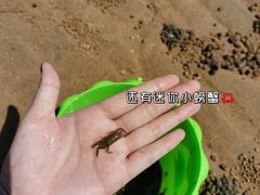 -在海一方公园