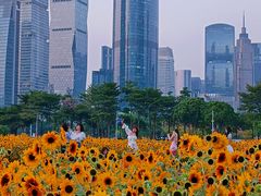 -海心沙亚运公园