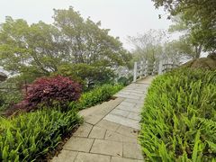 -广州市帽峰山景区