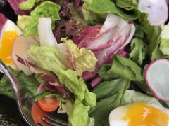 -LES ELITES 英集荟(南京西路店)