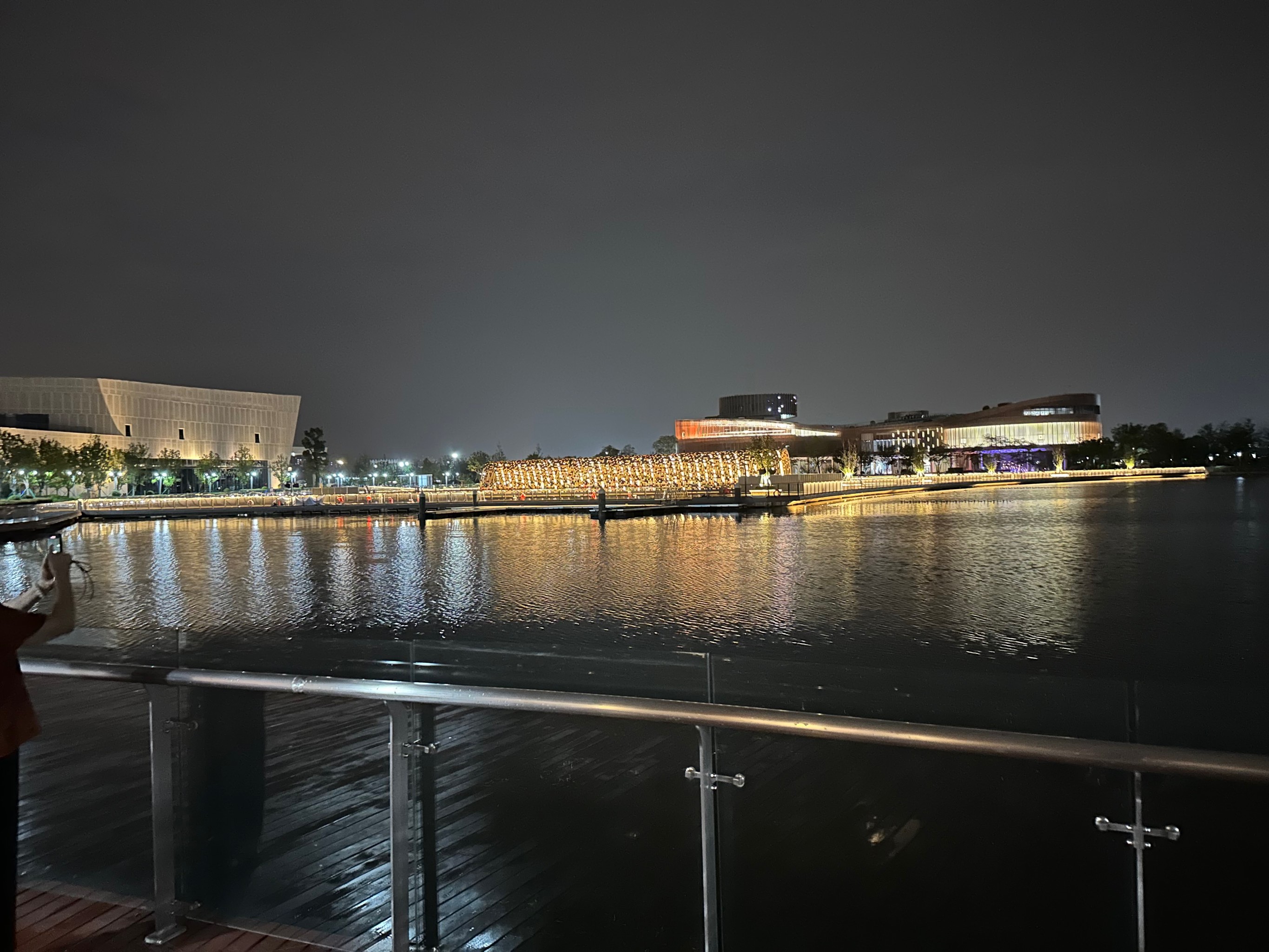 上海之鱼夜景图片