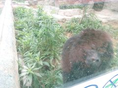 -泉州海丝野生动物世界