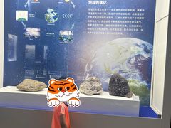 -贝壳王国博物馆