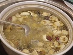 -山菌美食苑(振兴路店)