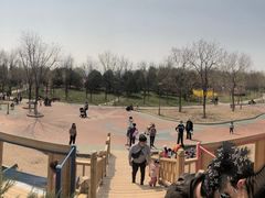 -大兴滨河森林公园