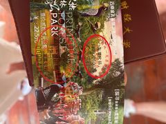 -西双版纳原始森林公园