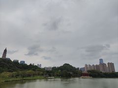 -顺峰山公园