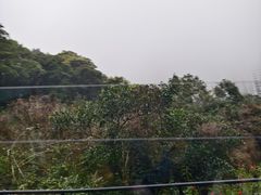 -山顶缆车