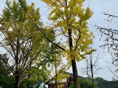 -八卦田遗址公园