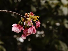 -静安雕塑公园