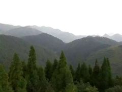 -武陵山森林公园