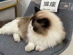 -Best U照相馆证件照·外拍(五角场店)