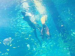 -洛阳龙门海洋馆