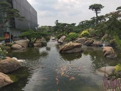 -罗红摄影艺术馆