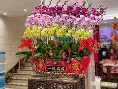 -北园酒家(小北路店)