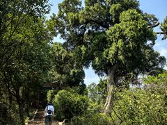 -金堂县云顶石城风景区