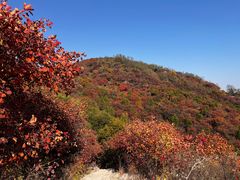 -北京西山国家森林公园
