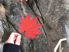 -丹东凤凰山景区