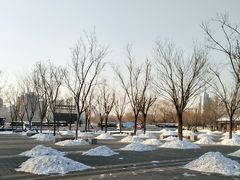 -莲花池公园