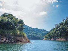 -广州市流溪河国家森林公园