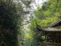 -藏龙百瀑风景区