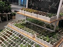 -7fresh七鲜(大族广场店)