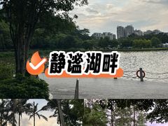 -雀儿山公园