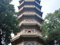-灵谷景区