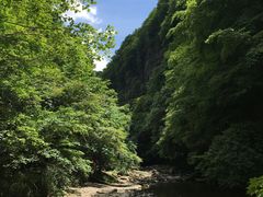 -黎坪国家森林公园