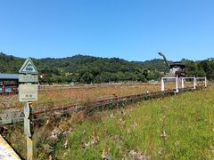 -红山村