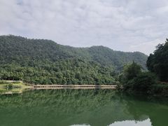 -桃花岭景区