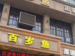 -百岁鱼(七一路店)