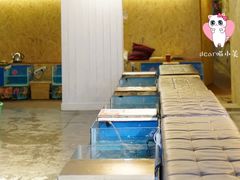 -泰国鱼疗足疗馆