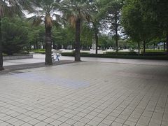 -顺德职业技术大学