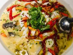 -渔见·精品川菜·老坛酸菜鱼(大朗店)