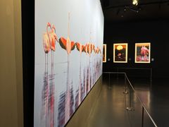 -罗红摄影艺术馆